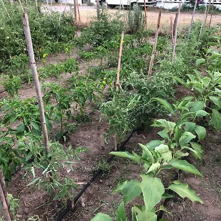 Apartmanhotel Sun 3*