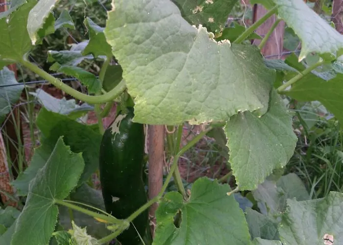 Hotel apartamentowy Sun