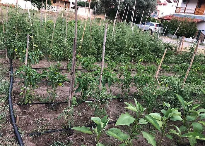 Hotel apartamentowy Sun