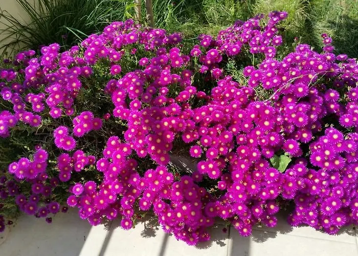 Sun Hotel de apartamente 3*